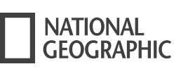 Go Live Dubai