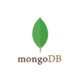 mongo db